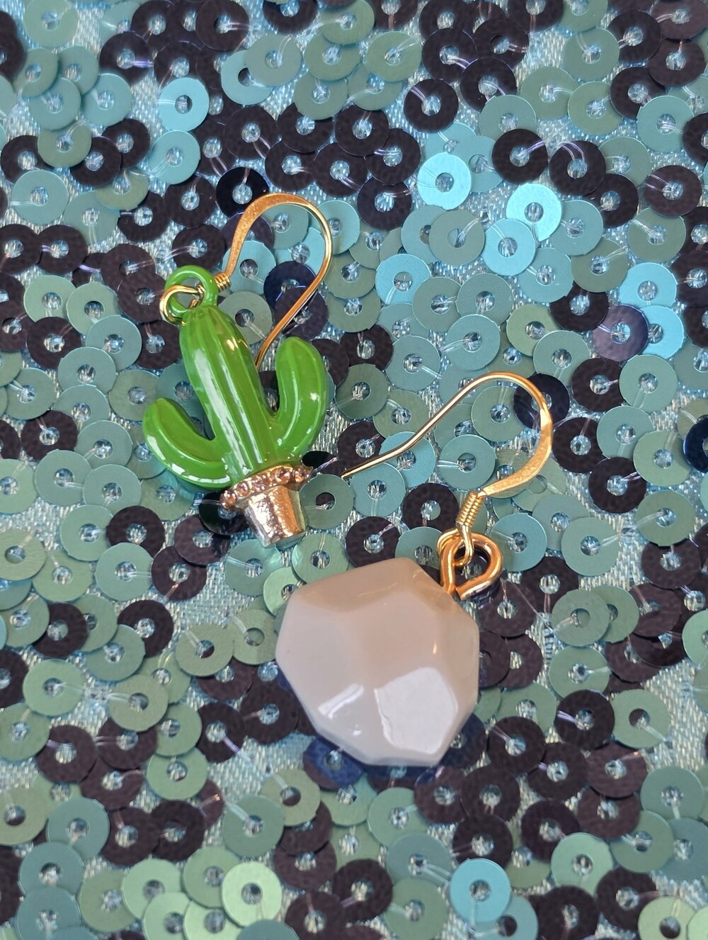Cactus and Rock Earrings 🌵🪨